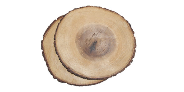 houten bordjes van boomstam Label25