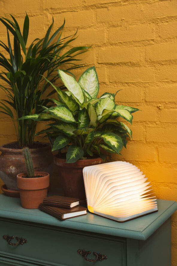 label25-houten-boekenlamp-sfeerfoto1