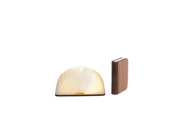 label25-houten-boekenlamp-walnoot-maat-s